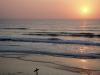 Wiped, Del Mar, California